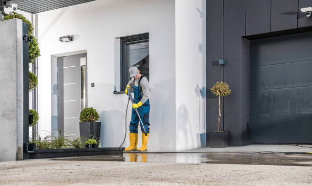 Best Roof Washing  in Darien, GA
